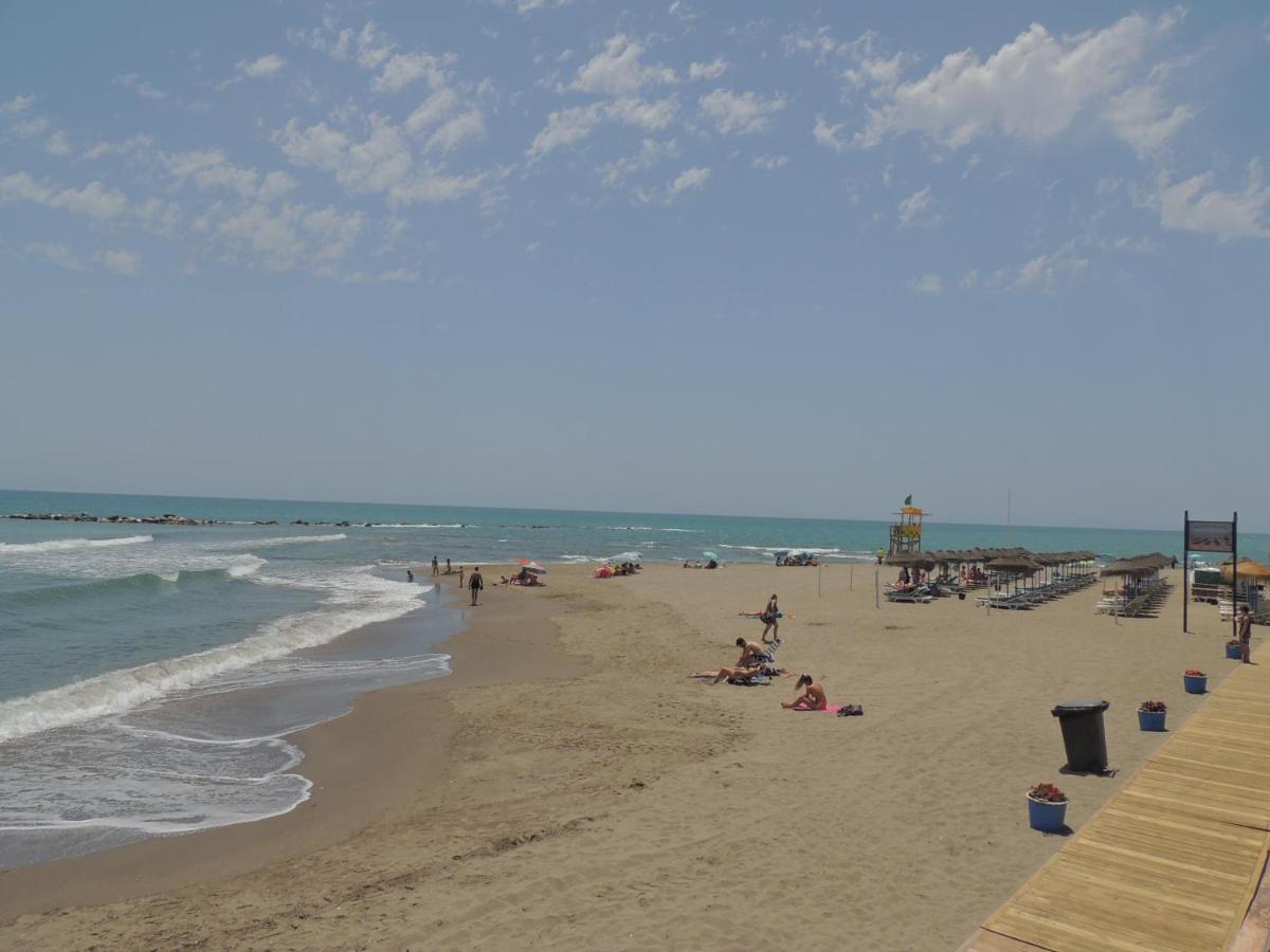 דירות בנאלמדנה Las Gaviotas Beach - Playa - Sea Front - Frente Al Mar מראה חיצוני תמונה